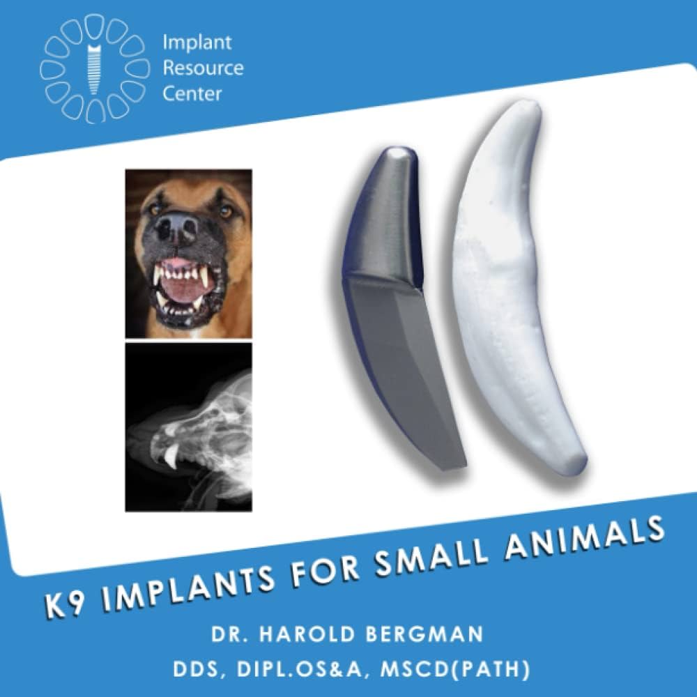 Illustrative example of dental implants for dogs from Google Search