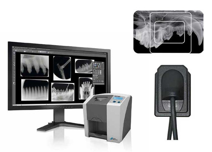 veterinary digital dental radiography equipment