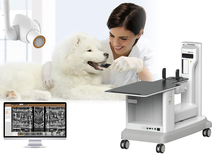 veterinary digital dental radiography equipment