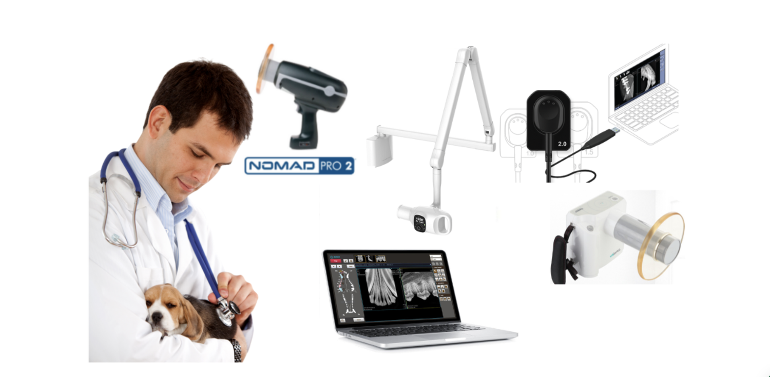 veterinary digital dental radiography equipment